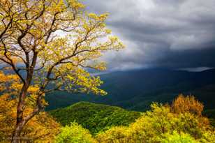 Storm in the Smokies-9038.jpg